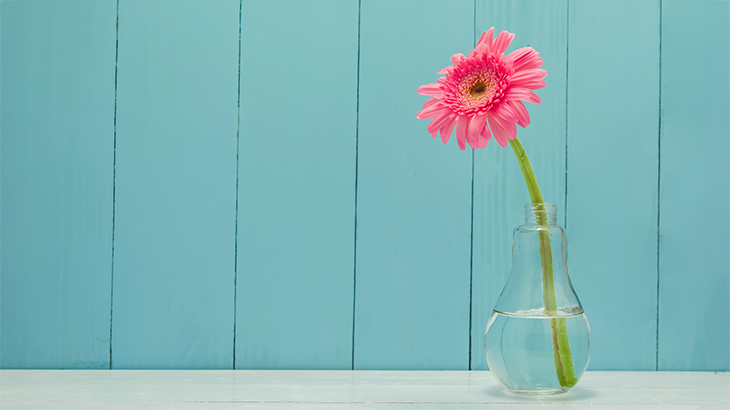 Minimalist yaşam nedir? Bir hayat felsefesi olarak minimalizm