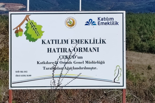 Bugünün Fidanı Yarının Umudu